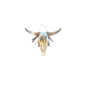 Cow Skull, Authentic Handpainted Bear on the front Wall Hanging, damaged